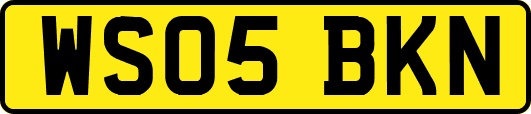 WS05BKN