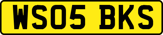 WS05BKS