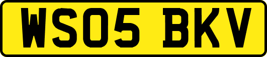WS05BKV