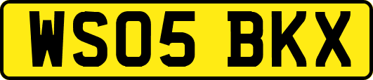 WS05BKX