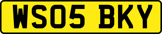 WS05BKY