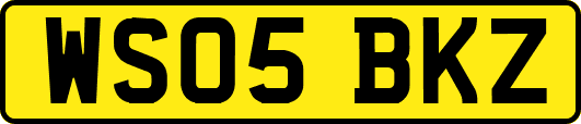 WS05BKZ