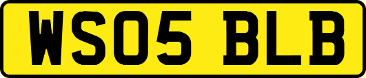 WS05BLB