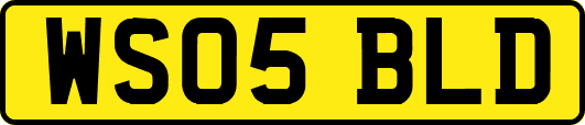 WS05BLD