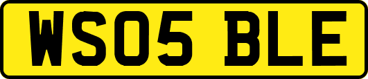 WS05BLE