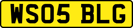 WS05BLG