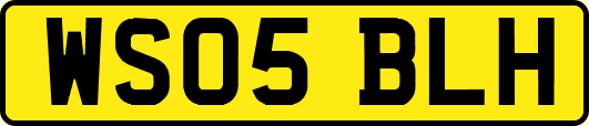 WS05BLH