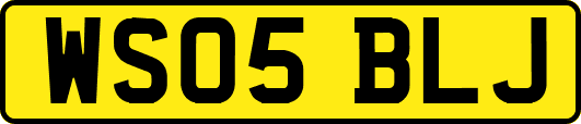 WS05BLJ