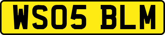 WS05BLM