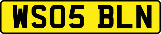 WS05BLN