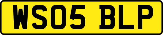 WS05BLP