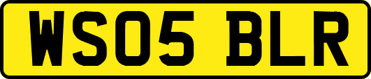 WS05BLR