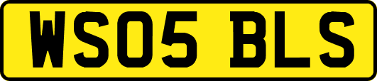 WS05BLS