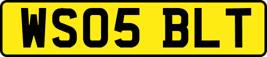 WS05BLT