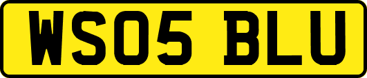 WS05BLU
