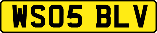WS05BLV