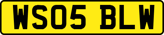 WS05BLW