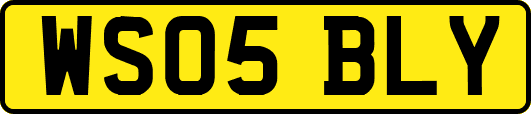 WS05BLY