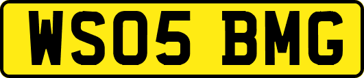 WS05BMG