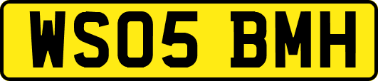 WS05BMH