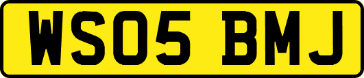 WS05BMJ