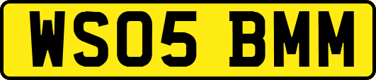WS05BMM