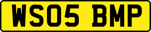 WS05BMP