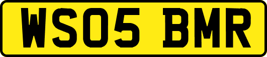 WS05BMR