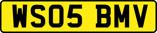 WS05BMV
