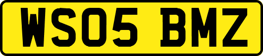 WS05BMZ