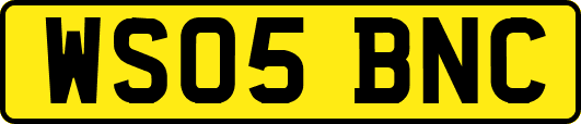 WS05BNC