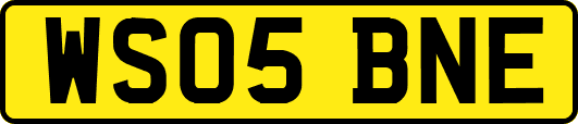 WS05BNE