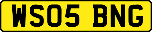 WS05BNG