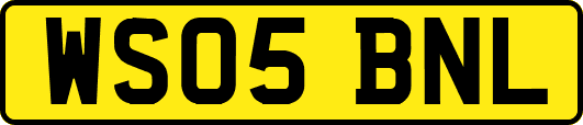 WS05BNL