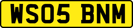 WS05BNM