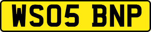 WS05BNP