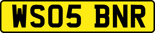 WS05BNR