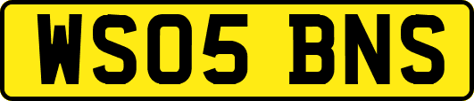 WS05BNS