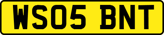 WS05BNT