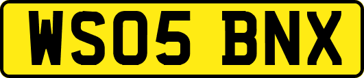 WS05BNX