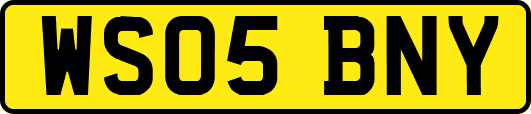 WS05BNY