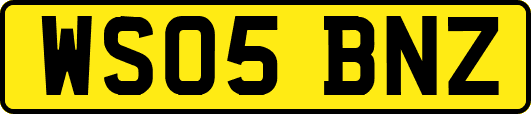WS05BNZ
