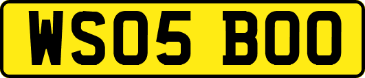 WS05BOO
