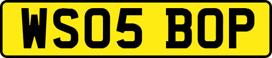 WS05BOP