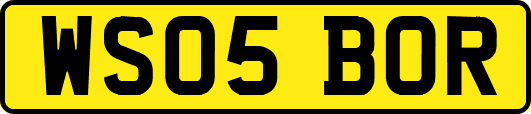 WS05BOR