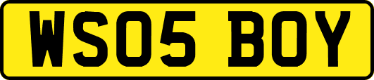 WS05BOY