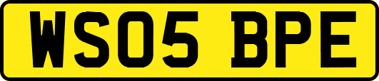 WS05BPE