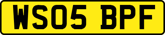 WS05BPF