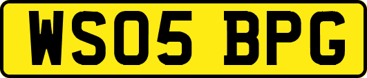 WS05BPG