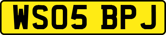 WS05BPJ